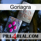 Goriagra 38